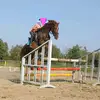 Anna Niehaus - @pferdeliebe_3 - TikTok