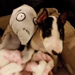 Anna Niles - @neudlefamily - Instagram