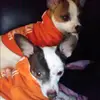 Anna Ochoa - @annaochoa4 - TikTok