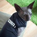 Anna Ohlson - @anna.ohlson.12 - Instagram