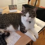 Anna Osborn - @osborn9575 - Instagram