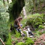 Anna Paredes - @lan_archy - Instagram