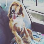 Anna Parson - @derri.parson - Instagram