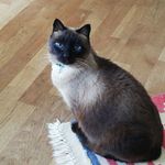 Anna Pascale - @anna.pascale.7311 - Instagram