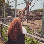 Anna Passaro - @anna_passaro_halo93 - Instagram