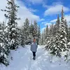 Anna Pavlik - @annabanna1031 - TikTok