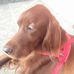 Anna Pelligra - Facebook