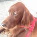 Anna Pelligra - Facebook