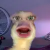 Urfavredhead05 - @annaperdue5 - TikTok
