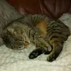 anna_peric1106 - @anna_peric1106 - TikTok