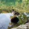 anna_peric - @anna_peric - TikTok