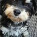 Anna Pfeiffer - Facebook