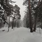 Anna Picard - @picard8536 - Instagram