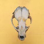 Anna Pike Studio - @annapikestudio - Instagram