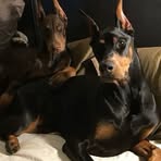 Anna Pinkerton - Facebook
