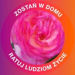 Anna Polińska - @polinska.a - Instagram