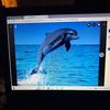 Ann Ponting - @ann.ponting - TikTok