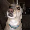 anna - @pope.annaa - TikTok