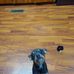 Anna Prejean - Facebook