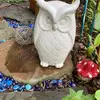 anapressler - @anapressler - TikTok