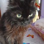 Anna Preti - Facebook