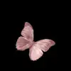 Anna Pretorius - @anna.pretorius78 - TikTok