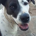 Anna Pretorius - @spokie2662 - Instagram