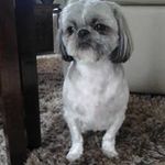 Anna Prevost - @juliette1136 - Instagram