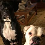 Anna Prewitt - @anna.prewitt.16 - Instagram