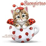 annapreziosi - @annapreziosi475 - Instagram