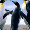 annapreziuso1 - @annapreziuso1 - TikTok