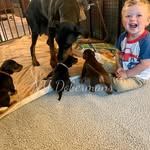 Annalee Pridemore - @annaleepridemore - Instagram