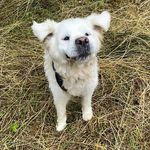 @annapriebe05_ - Instagram
