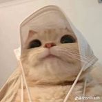 Anna Primrose - Facebook
