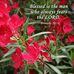 Anna Princy Fernando Fernando - Facebook