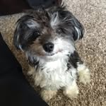 Anna Prindle - @nanners920 - Instagram