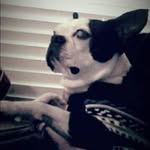 Anna Hatcher - @anna.privette.5 - Instagram