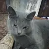 annaprofff - @annaprofff - TikTok