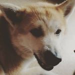 Анна Никулина (Тузова) - @anna.prohlada - Instagram