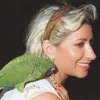 Anna Maria Proietti - @querciadorata - TikTok