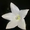 annaproietti226 - @annaproietti226 - TikTok