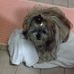 Anna Proni - Facebook