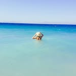 Anna Propst - @nyocakaduku - Instagram