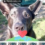 Anna Prosperi - @prosperianna63 - Instagram