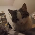 Anna Prusak - Facebook