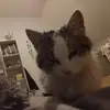 Anna Prusak - @anna.prusak2 - TikTok