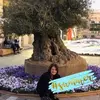 Anna Maria Psaila - @annamariapsaila - TikTok