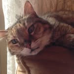Anna Maria Pucciarelli - @panna2667 - Instagram