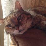 Anna Maria Pucciarelli - Facebook