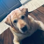 Anna - @annapuff200 - Instagram